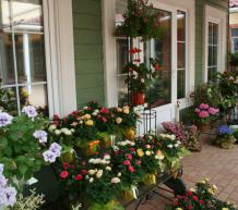 Фото Vnukovo Outlet Village - аутлет-центр. Материал: Фиброцементный сайдинг Cedral | . Фото № 1974104295