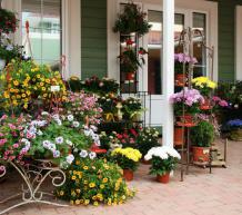 Фото Vnukovo Outlet Village - аутлет-центр. Материал: Фиброцементный сайдинг Cedral | . Фото № 357742673